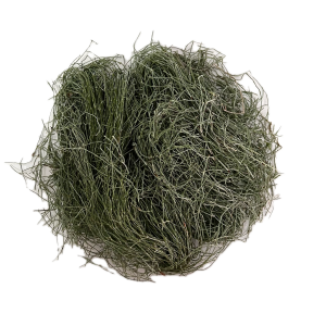 LIMPIA PLATA Infusion
