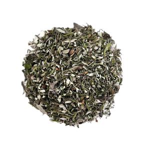 SALVIA Infusión