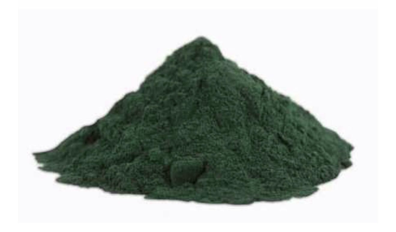 ESPIRULINA POLVO - Imagen 2